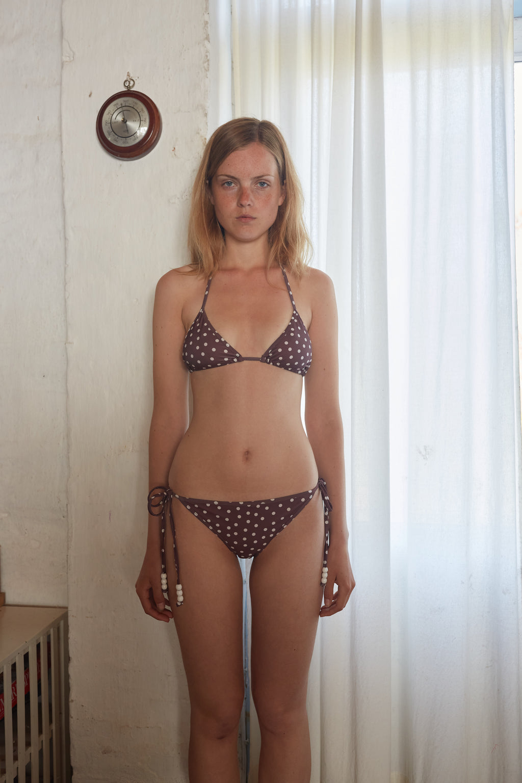 Daphne Bottom, Brown Dot